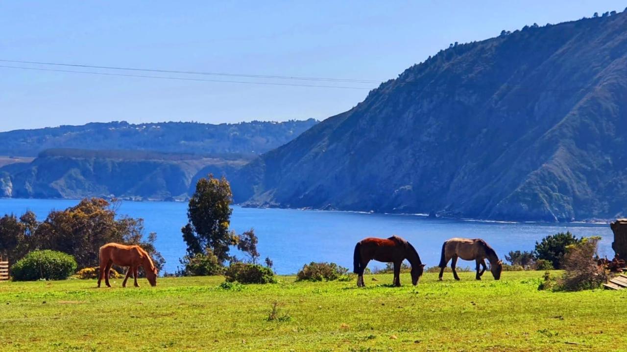 Cabana En Tunquen Con Parrilla, Fogon, Piscina Y Bosque Dış mekan fotoğraf