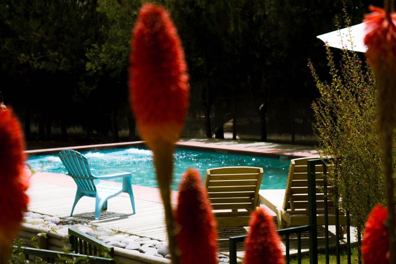 Cabana En Tunquen Con Parrilla, Fogon, Piscina Y Bosque Dış mekan fotoğraf
